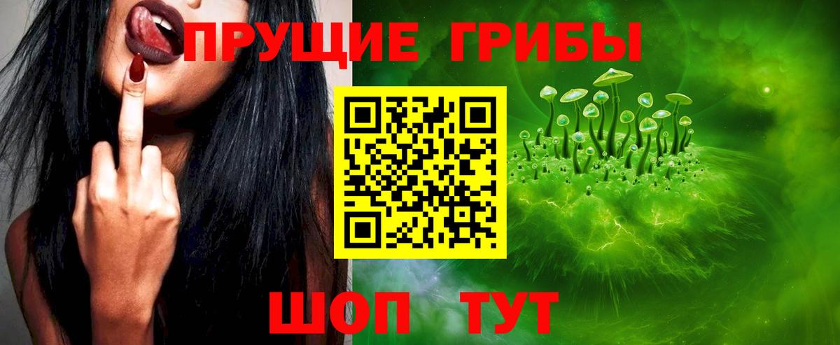 Галлюциногенные грибы Magic Shrooms  Псилоцибиновые грибы прущие грибы  Сунжа  Вход с VPN 